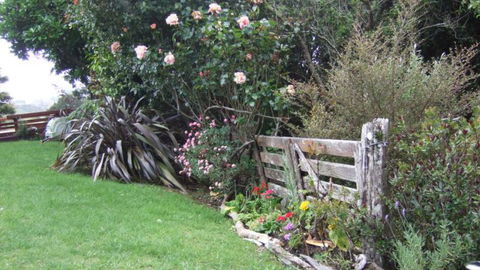 Dolphin Lodge - Accommodation New Zealand 20