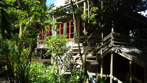 The Tree House Lodge Hokianga Harbour - Accommodation New Zealand 0