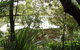 The Tree House Lodge Hokianga Harbour - thumb 2