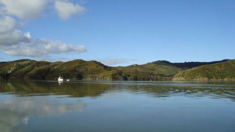 The Tree House Lodge Hokianga Harbour - Accommodation New Zealand 24