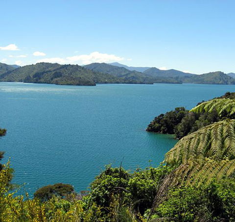 Anakiwa Lodge - Accommodation New Zealand 6