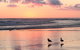 Baylys Beach Holiday Park  - thumb 19