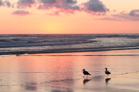 Baylys Beach Holiday Park  - Accommodation New Zealand 19