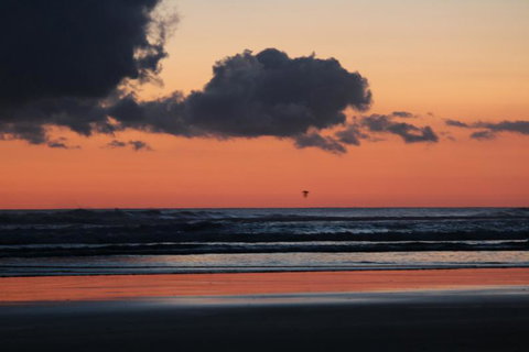 Baylys Beach Holiday Park  - Accommodation New Zealand 20