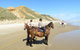 Baylys Beach Holiday Park  - thumb 23