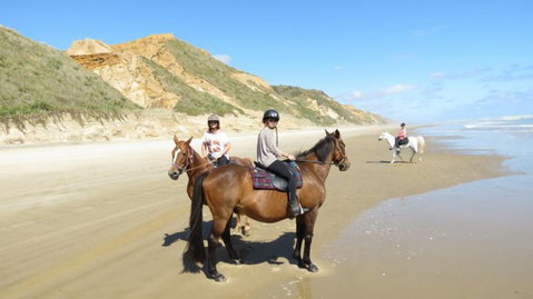 Baylys Beach Holiday Park  - Accommodation New Zealand 23
