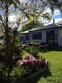 Mountain View Backpackers 