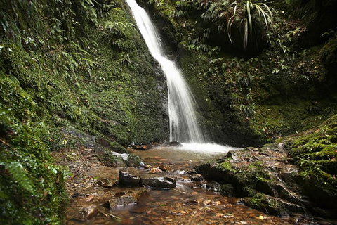 Rawhiti Backpackers - Accommodation New Zealand 4