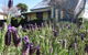 The Old Countryhouse Backpackers - thumb 0