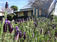 The Old Countryhouse Backpackers