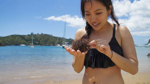 YHA Bay Of Islands The Rock Cruise - Accommodation New Zealand 14