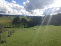 Gumtree Farmstay