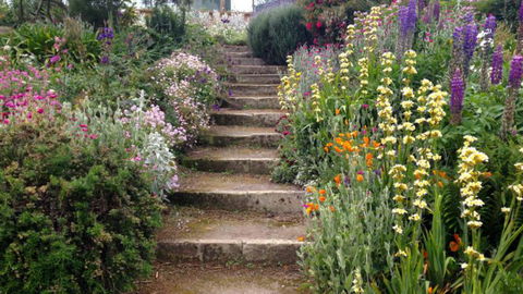 Gumtree Farmstay - Accommodation New Zealand 7