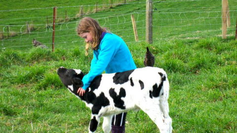 Gumtree Farmstay - Accommodation New Zealand 13