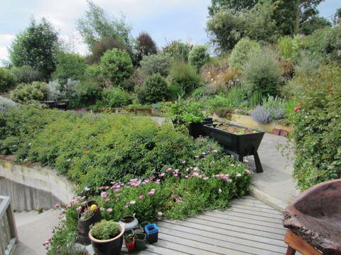 Gumtree Farmstay - Accommodation New Zealand 23