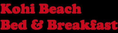 Kohi Beach Bed & Breakfast - Accommodation New Zealand 21