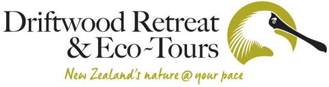 Driftwood Retreat - Accommodation New Zealand 12