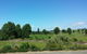 Southern Belle Orchard Bed And Breakfast - thumb 7