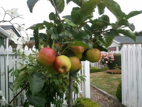 Designer Cottage B&B - Accommodation New Zealand 19
