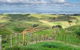 Waitomo Boutique Lodge - thumb 6