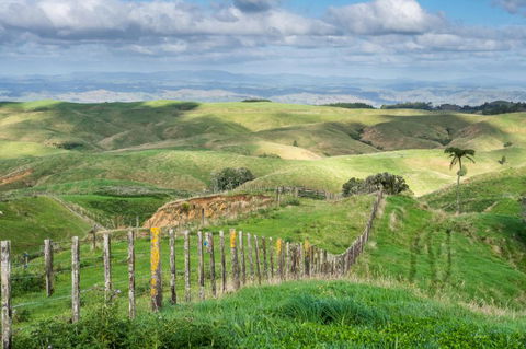 Waitomo Boutique Lodge - Accommodation New Zealand 6