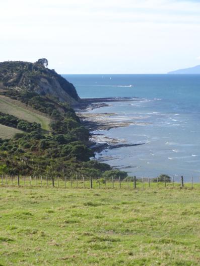 The Sunny Side Up B&B - Accommodation New Zealand 17