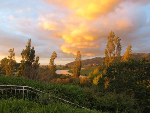 Cotswold Cottage Bed And Breakfast - Accommodation New Zealand 4