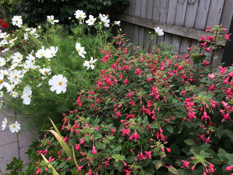 Garden B And B - Accommodation New Zealand 5
