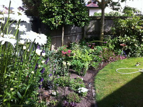 Garden B And B - Accommodation New Zealand 6