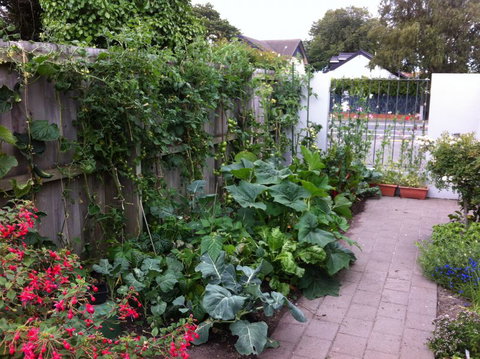 Garden B And B - Accommodation New Zealand 7