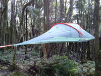Sleeping in a tree tent