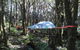 Sleeping In A Tree Tent - thumb 1