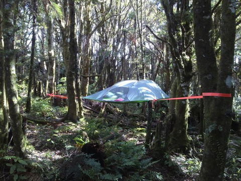 Sleeping In A Tree Tent - Accommodation New Zealand 1