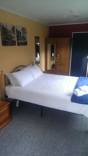 The Fluffy Chicken B&B - Accommodation New Zealand 3