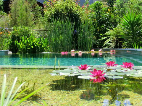 Wall Street Accommodation - Accommodation New Zealand 4