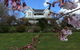 Mangawhare Historic Homestead Bed & Breakfast - thumb 0