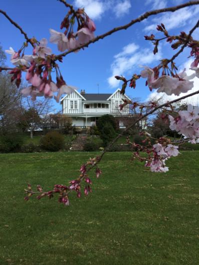 Mangawhare Historic Homestead Bed & Breakfast - Accommodation New Zealand 0