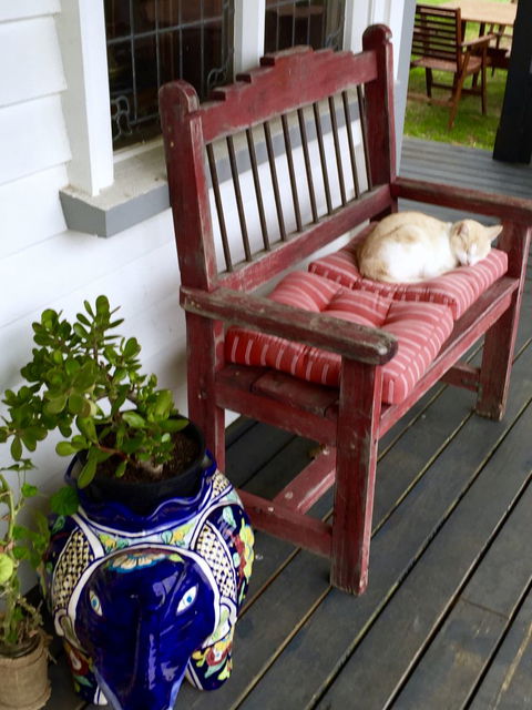 Mangawhare Historic Homestead Bed & Breakfast - Accommodation New Zealand 2