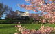 Mangawhare Historic Homestead Bed & Breakfast - thumb 8