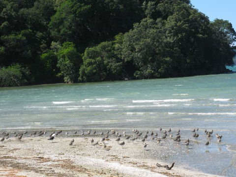 21HAMPTON - Accommodation New Zealand 3