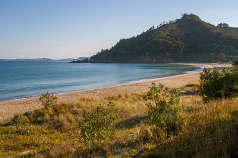 Taigh Na Mara Bed And Breakfast - Accommodation New Zealand 2