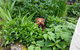 Oamaru House Bed & Breakfast - thumb 11