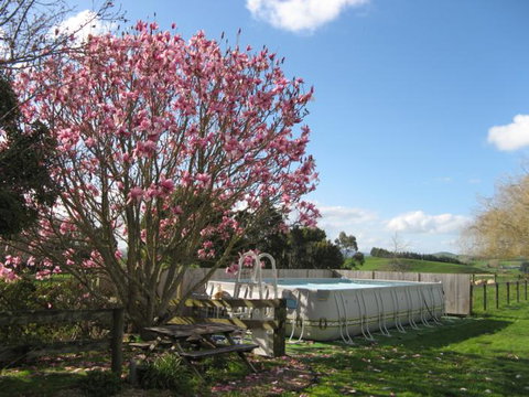 The Barnhouse At Swallow Lodge - Accommodation New Zealand 2