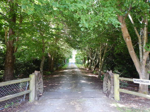 Meadowbank - Accommodation New Zealand 0