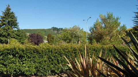 Lupin Lodge Bed & Breakfast - Accommodation New Zealand 11