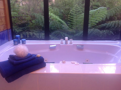 Karamu Valley Lodge - Accommodation New Zealand 3