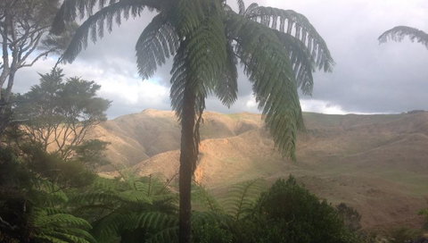 Karamu Valley Lodge - Accommodation New Zealand 8