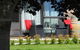 Copper Beech Wanaka - Luxury B&B - thumb 9
