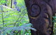 Waiheke Island Guesthouse - thumb 3