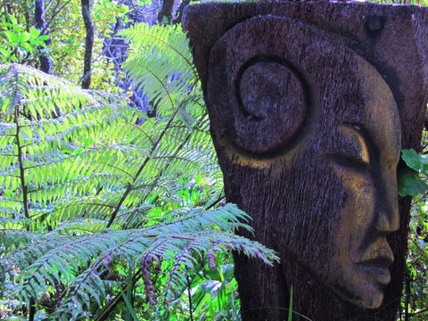 Waiheke Island Guesthouse - Accommodation New Zealand 3